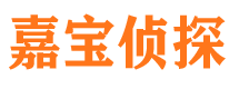 玄武市私家侦探